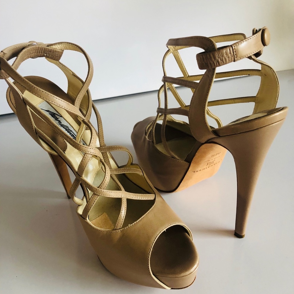 Brian Atwood Platform